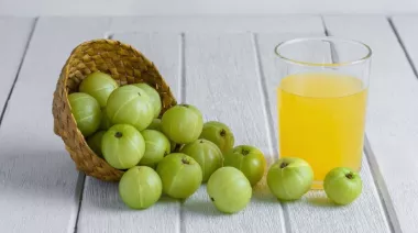 plating-instructions-image